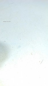 7.7K views · 27 reactions | Make Your Own Cool DIY Plastic Bottle Cutter. No More Throwing Away Plastic Bottles #shorts #diy #craft #tips #tricks #howto #diycrafts #diyprojects #diyhomedecor #diyideas | Simple Creative | Facebook