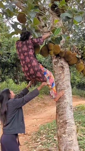 ১০ টি ফলের নাম। 10 Fruits for kids learning #fruit #shorts #trending #funny #viral #shortsfeed