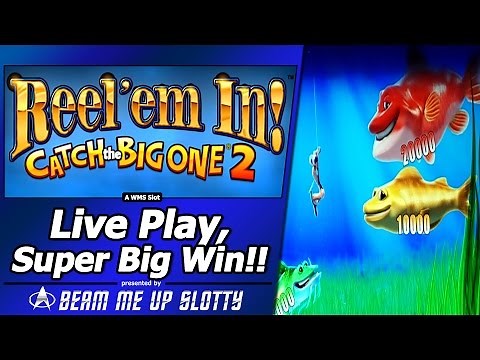 Reel Em In, Catch the Big One 2 Slot - LivePlay, Super Big Win! in Free Spins Fishing Bonus