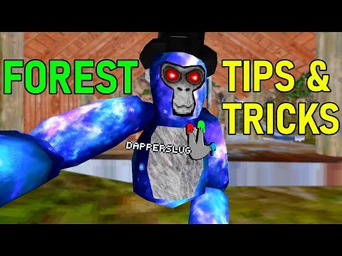 5 Best Gorilla Tag Forest Tips & Tricks + Patch Notes (Gorilla Tag Map Tips & Tricks #1)