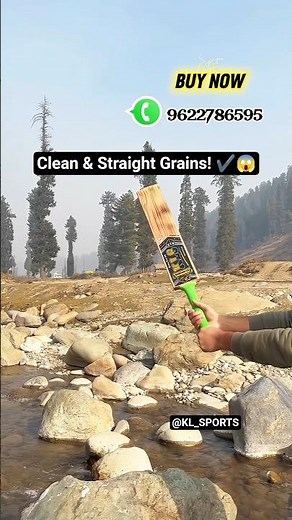 The Burn Edition 4 Scoop Bat Looks Crazy! 🔥 #shorts