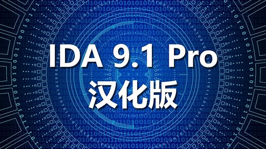 [PC软件汉化] IDA 9.1 Pro 汉化
