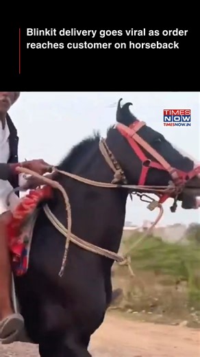 A Blinkit order took an unexpected route on horseback, leaving netizens amazed at the quirky delivery in action #TimesNow #TimesNowNews | TIMES NOW