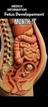 Month 1 to 9 Baby Development Inside the Womb 👶✨ | Watch How a Baby Grows Month by Month!#pregnant