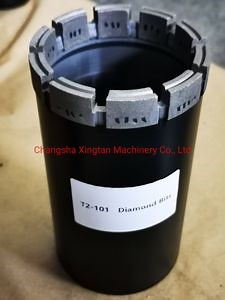 [Hot Item] T2-101 Hard Rock Drilling Bits/Core Bits/Diamond Core Bits