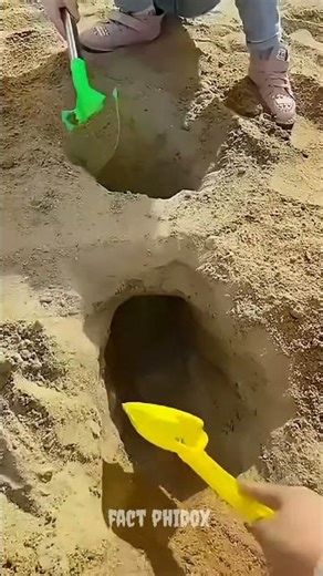 The Sand Pit Plan Goes Wrong! 🏖️😅 #shorts