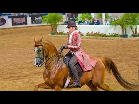 $20,000 Arabian Country English Pleasure Championship