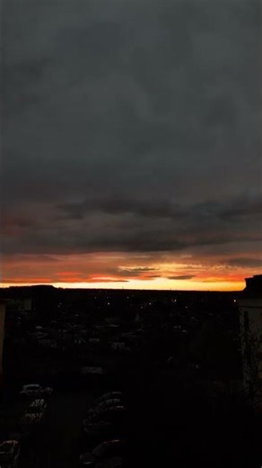 VID 20260314 060515 174