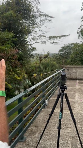 Swarovski ha lanzado los AX Visio, los primeros binoculares inteligentes con cámara incorporada, diseñados para observadores de aves, fotógrafos y exploradores de la naturaleza. Estos binoculares combinan óptica de alto rendimiento con inteligencia artificial y capacidades fotográficas avanzadas. • Identificación inteligente: Integran inteligencia artificial para reconocer más de 9,000 especies de aves, mamíferos e insectos en tiempo real, utilizando el algoritmo Merlin Bird ID del Cornell Lab o