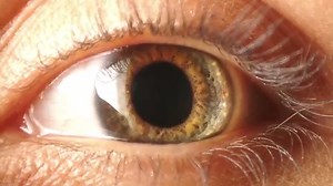 Olympus OM-D EM-10, análisis