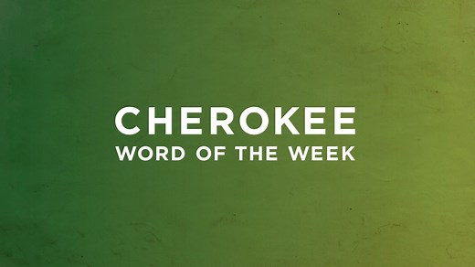 46K views · 2.3K reactions | All animals on this planet are remarkable in their own way, but dogs are uniquely special in their relationship to people. They have truly lived up to their moniker as “man’s best friend.” In honor of #InternationalDogDay being tomorrow, this week’s Cherokee Word of the Week is “dog.” | Visit Cherokee Nation | Facebook
