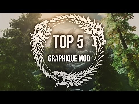 TOP 5 MODS graphiques - Skyrim (PC/Xbox One)