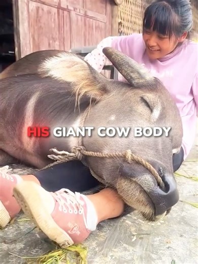 Is This the Sweetest Cow–Human Friendship Ever? 🐄🤝❤️ #shorts