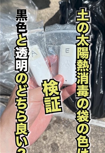 土の太陽熱消毒の袋の色は黒色と透明のどちらが良いか？#家庭菜園 #太陽熱消毒 #土壌消毒