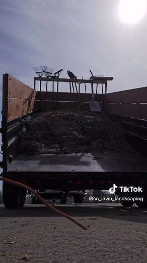 Leaf Removal Debate: Keep or Get Rid of Leaves?