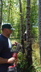 4.5K views · 291 reactions | our Tree Fort Install Kit got a BIT of an upgrade  A sneak peak of our new Tree Fort Install Bit  #treehouse #treefort #treehousemasters #treehouselife #fort #trees #carpenter #hardware | Nelson Treehouse and Supply | Facebook