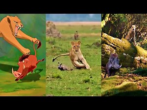 The Lion King (1994/2019/????) Nala chasing and hunting Pumbaa Scene Vs Real Wildlife (Graphic)