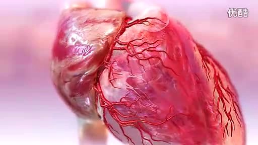 Hybrid Medical Animation 心脏跳动及血液循环