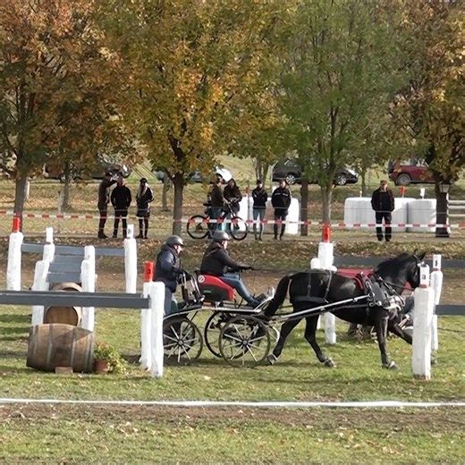 Moments Média on Reels