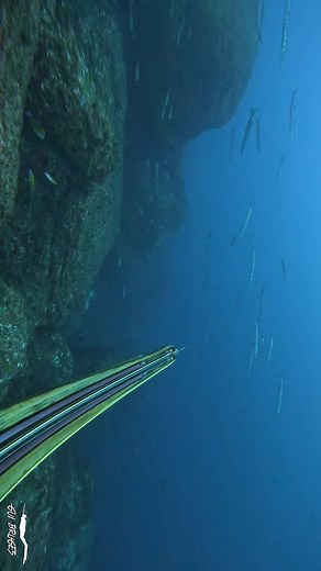 Enjoy Life 🔱 | Gui Bruges - Spearo & Island Life