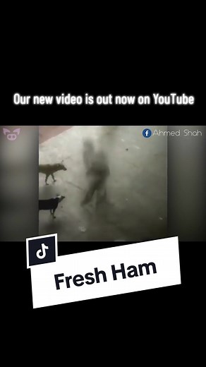 Our new video is out now on #YouTube - #Creepy #HauntedTikTok #ScaryVideos #Spooky #FYP #SlappedHam #ParanormalActivity #Ghosts #Paranormal #Horror #ScaryTikToks #NewVideo