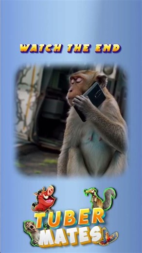 Monkey Driving a Lorry 😂🐒 #shorts #comedy #lol