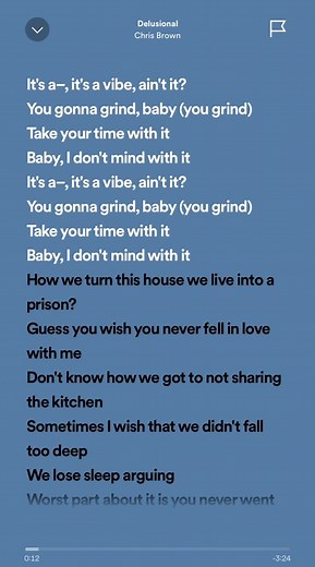 Chris Brown Delusional: Lyrics and Music Overview