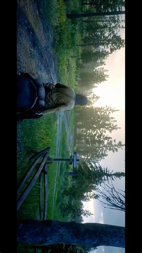 Perhaps? #gaming #shorts #gamingshorts #rdr2 #reddeadredemption2 #gta #gta5 #gtaonline #arthurmorgan