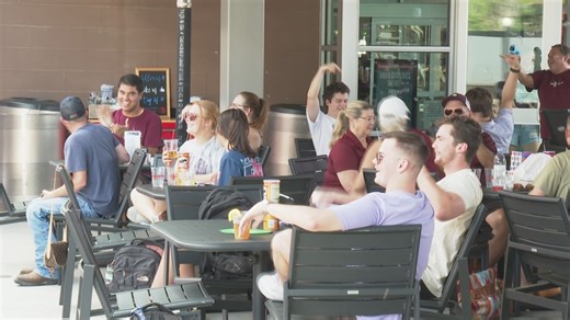 Excited fans cheer the Aggies on as they beat the Longhorns in the College Baseball World Series playoffs