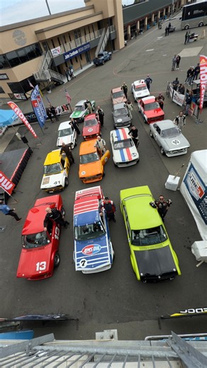 🟢🟢🟢 2.5 Hoosier Challenge!!The largest single class at Sonoma SpeedTour and an absolute party to watch. #vintagemotorsports #svra #sonomaraceway #hoosiertires #racing #raceday | SVRA