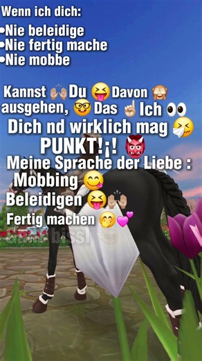 WIEBITTÄÄ?! 👀🙌🏼 #sso #realtalk #sprachederliebe #ichhalt #liebdich #sterstallion #humorrr😛