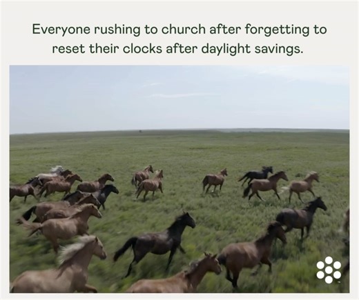 New International on Reels | Facebook