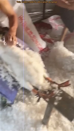 Sachin Kumar on Instagram: "How Luxury Winter Jackets Are Made"