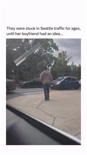 Success Cube | Wealth on Instagram: "Fun fact: There’s a species of ant that farms aphids the same way humans farm cows. Certain ants protect aphids from predators, move them to better plants, and even shelter them underground during bad weather. In return, aphids produce a sugary liquid called honeydew that ants “milk” by gently tapping them with their antennae. Some ant species have been doing this for millions of years, long before humans practiced agriculture. What feels like a human inventi