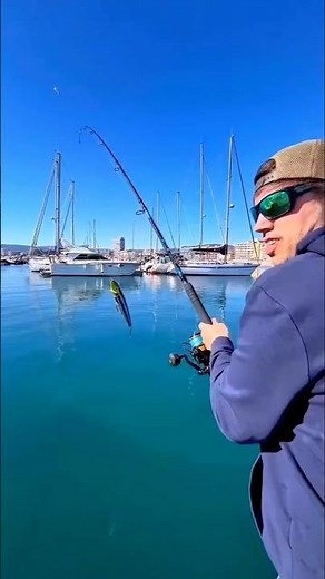 The fishing machine that caught nothing 😱🙂#shorts #trending