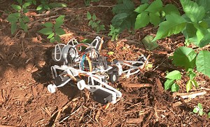 This robo-dog sprays poison ivy with weed killer | Arduino Blog