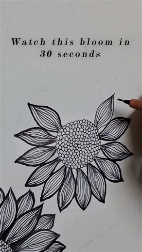 Watch this flower bloom in just 30 seconds 🏵️✨ #sketching #indianartist #lineart