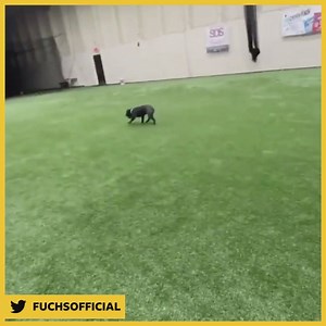 175K views · 950 reactions | Like trying to mark Jamie Vardy  | Match of the Day | Facebook