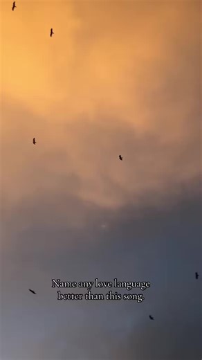 სიმღერები: ჭოხოები და ქართული მუსიკა