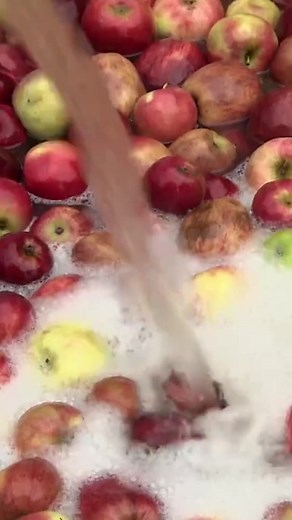 Science Channel on TikTok