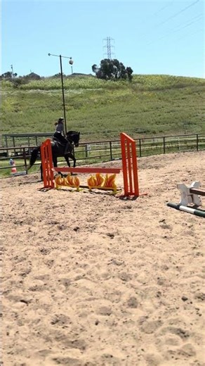 80s Over Fenced Dark Arts #horse #warmblood #hunterjumper