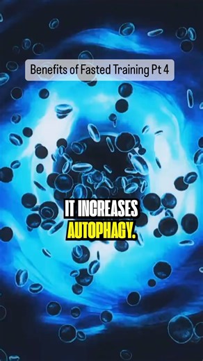 Exercise and fasting synergize to boost autophagy, your body’s natural process of cellular rejuvenation. Through autophagy, exercise and fasting help eliminate outdated and inefficient cellular components, like mitochondria, and pave the way for the generation of vibrant, energy-efficient cells. This internal cleansing mechanism extends to purging viruses and detoxifying cells, making the combination of exercise and fasting a powerful duo for enhancing your body’s resilience and vitality. | Dr. 