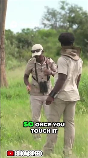 Speed Almost Gets Bit By a Giant Turtle 😳