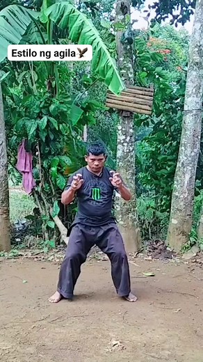 Demonstration sa Pag sasanay ng estilo ng agila🦅claw techniques✊👊 #kungfueaglestyle #eaglestyletechniques #martialartskungfueaglestyle | Jemar Dblogs