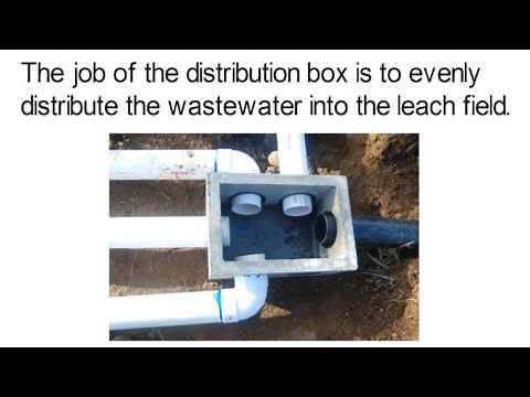 What a septic distribution box Does