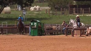 28K views · 372 reactions | Clay O' Brien Cooper breaks down the heelers rider position and how it sets you up to rope fast on totalteamroping.com! | Total Team Roping | Facebook