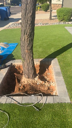 Removing the tree with out damaging the existing landscape | Majestic Hardscape & Landscape