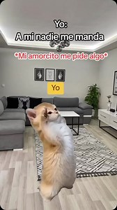 A mi nadie me manda 🫡 | Noteit Widget