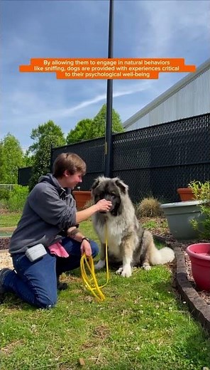 Watch our pups 🐶 enjoy The ASPCA Behavioral Rehabilitation Center’s Sensory Garden🪴