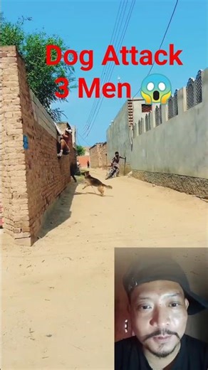 Dog Attack Gone Wrong 😱 | 3 Men Run for Their Life 🏃‍♂️🐕 #shorts #funny